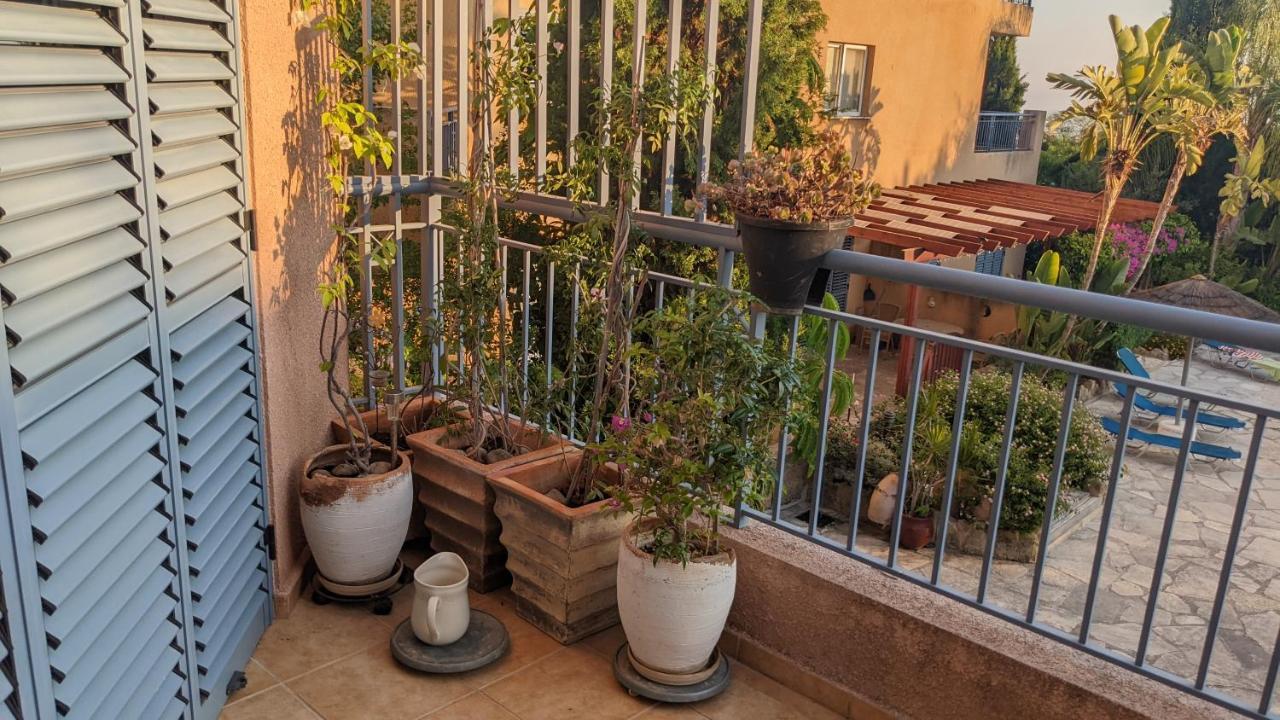 Ferienwohnung P.Gardens 103 Peyia Exterior foto